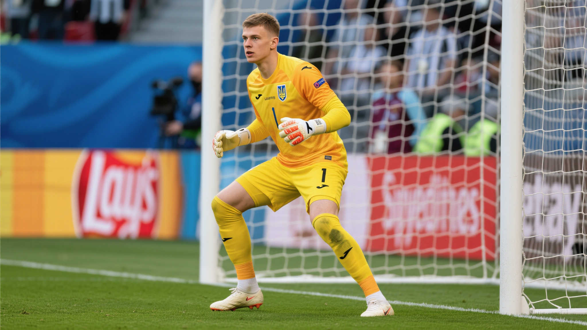 教练与球队 教练与球队