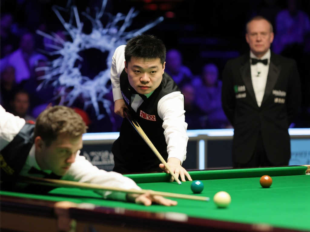 球迷证明了 球迷证明了