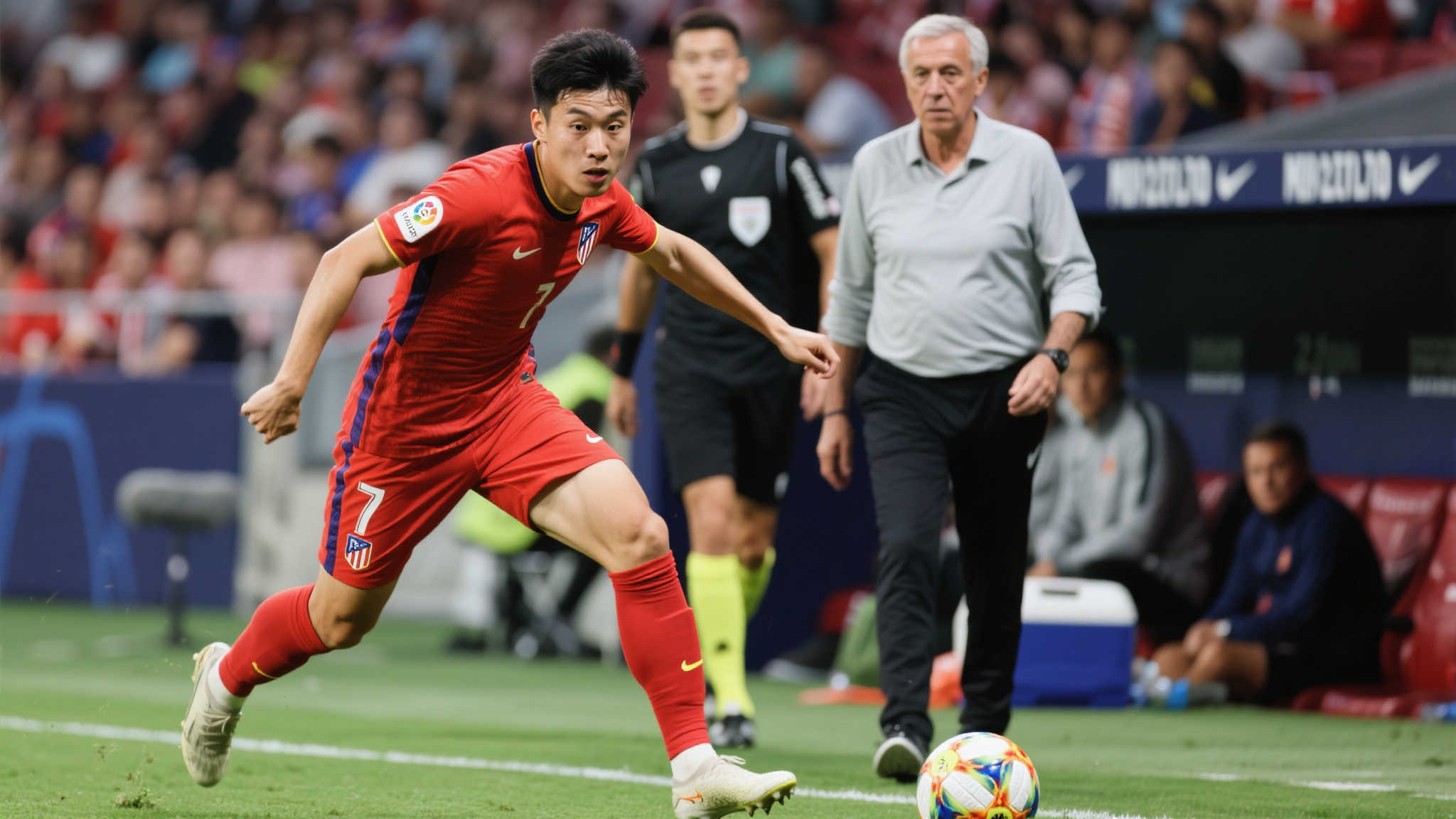 他们将为佩 他们将为佩